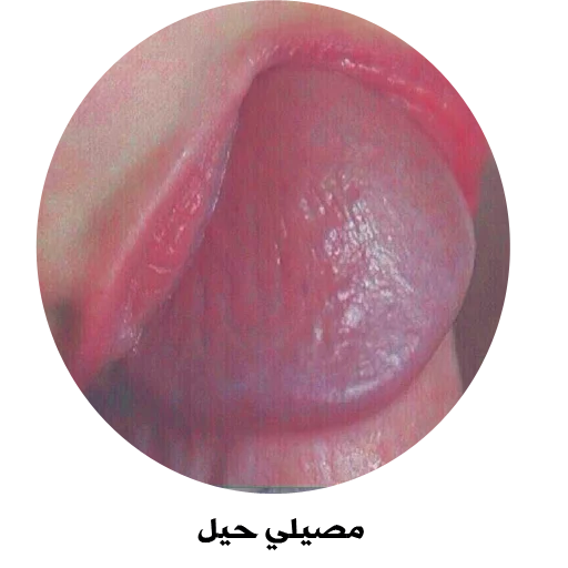 SEXY sticker 8