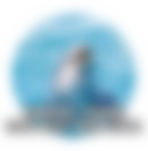 Твои стикеры — @stckrRobot sticker 9