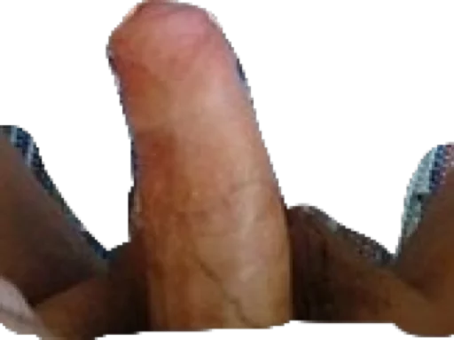 Speer sticker 7