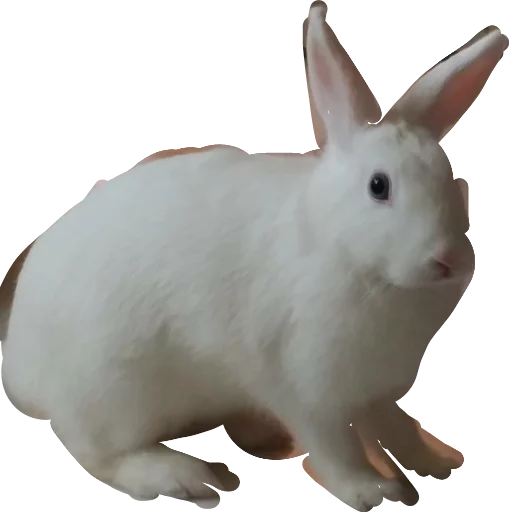 Wassapp sticker 3