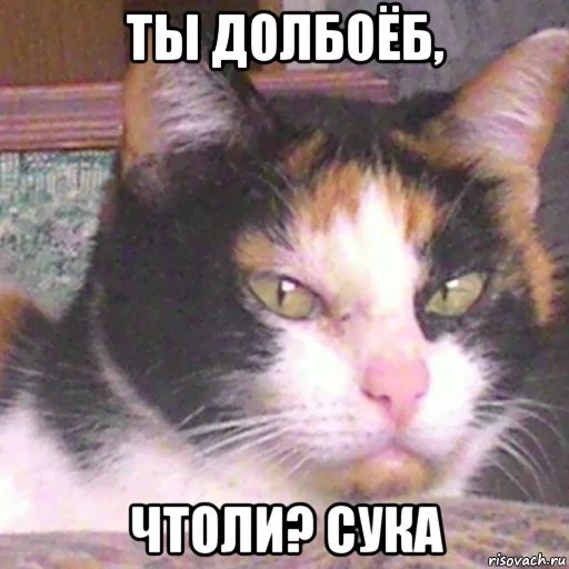 Трап sticker 6