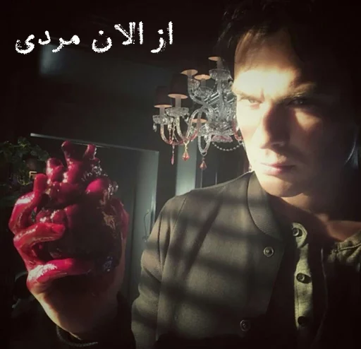 ❤TVD❤ sticker 11
