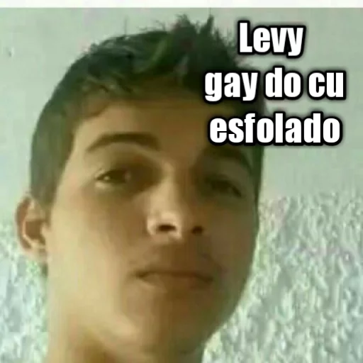 LEVY GAY sticker 2