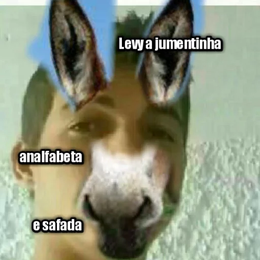 LEVY GAY sticker 5