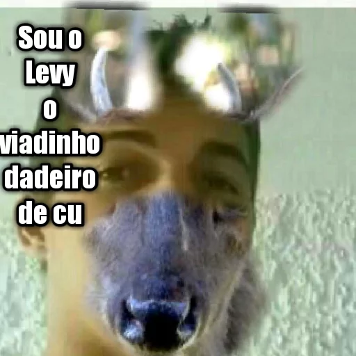 LEVY GAY sticker 6