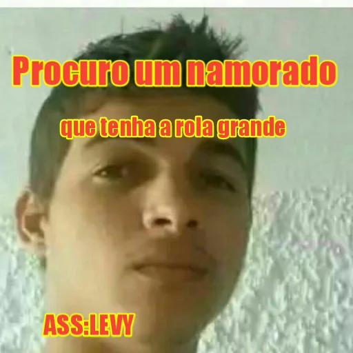 LEVY GAY sticker 10