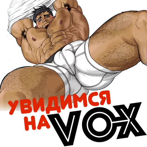 VOX sticker 4