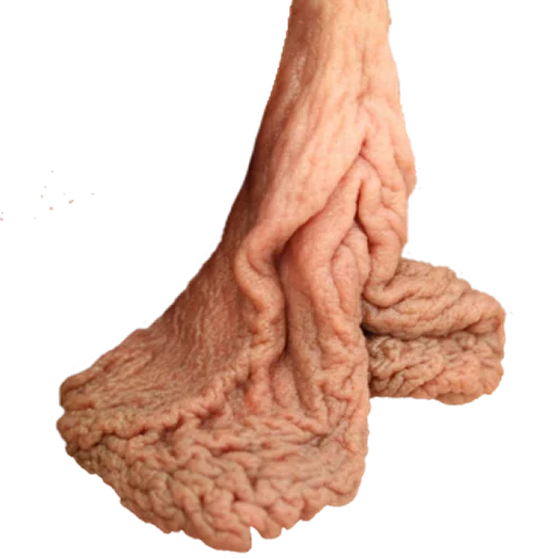 Vulve sticker 2