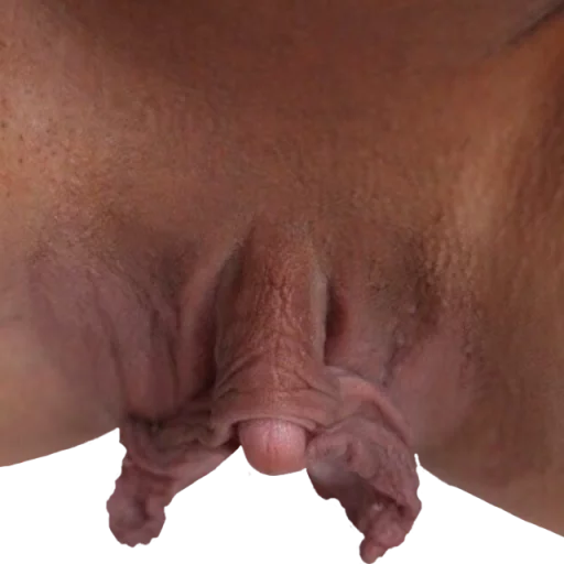 Vulve sticker 11