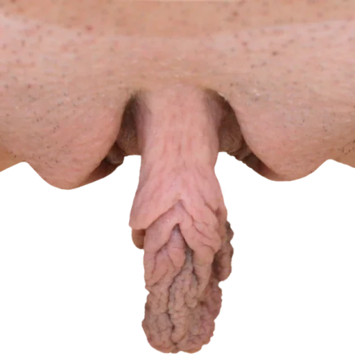 Vulve sticker 7