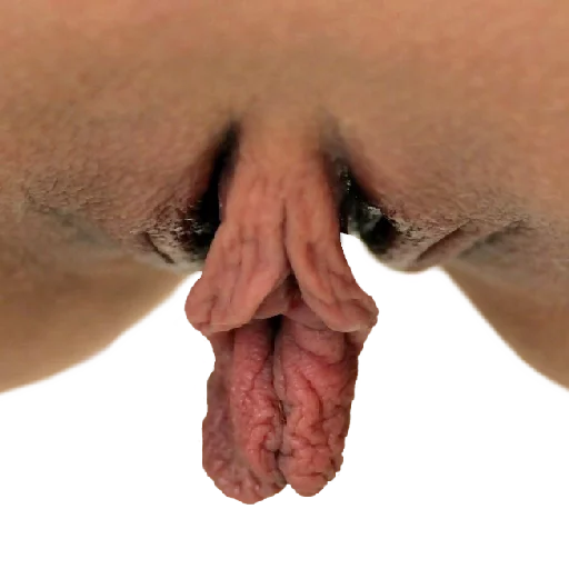 Vulve sticker 8